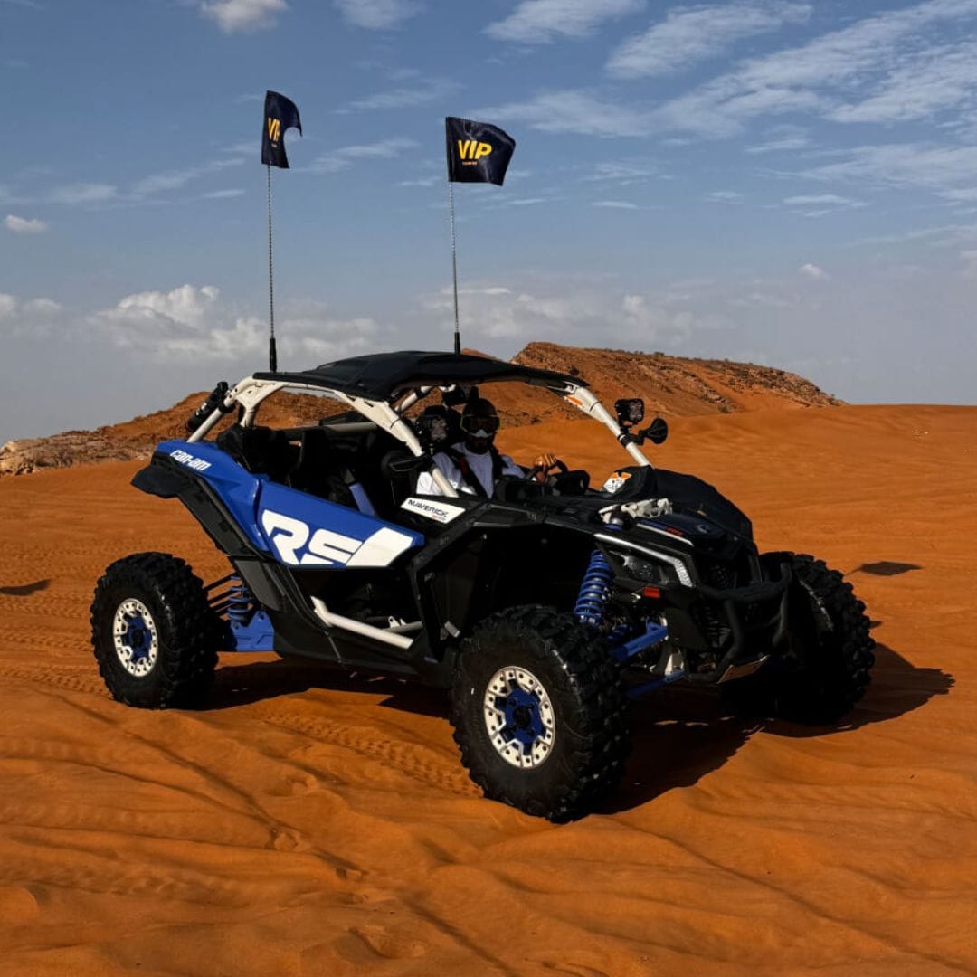 Dune Buggy Desert Safari - Image 3