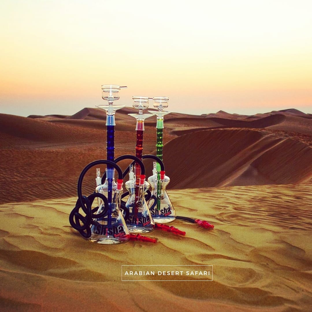Desert Safari without Dune Bashing - Image 4