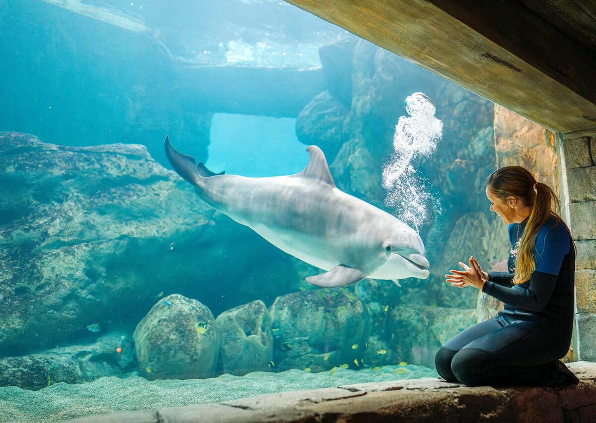 SeaWorld Abu Dhabi - Image 2