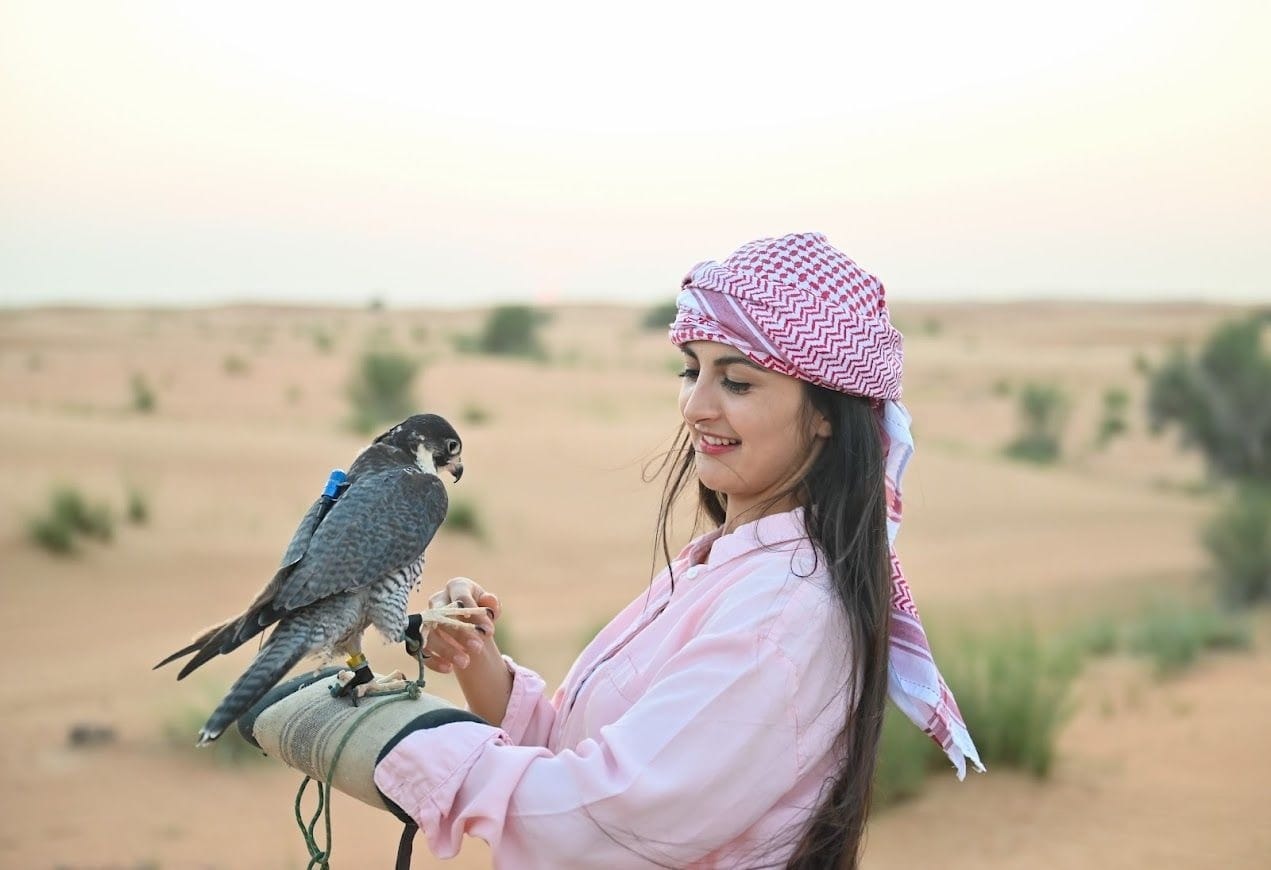 Falconry Experience Safari - Image 2