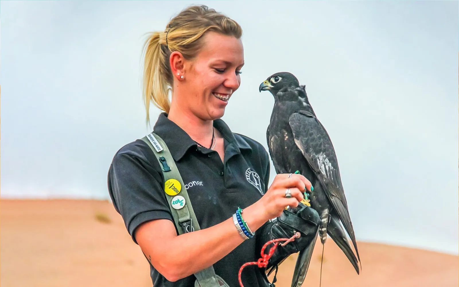 Falconry Experience Safari
