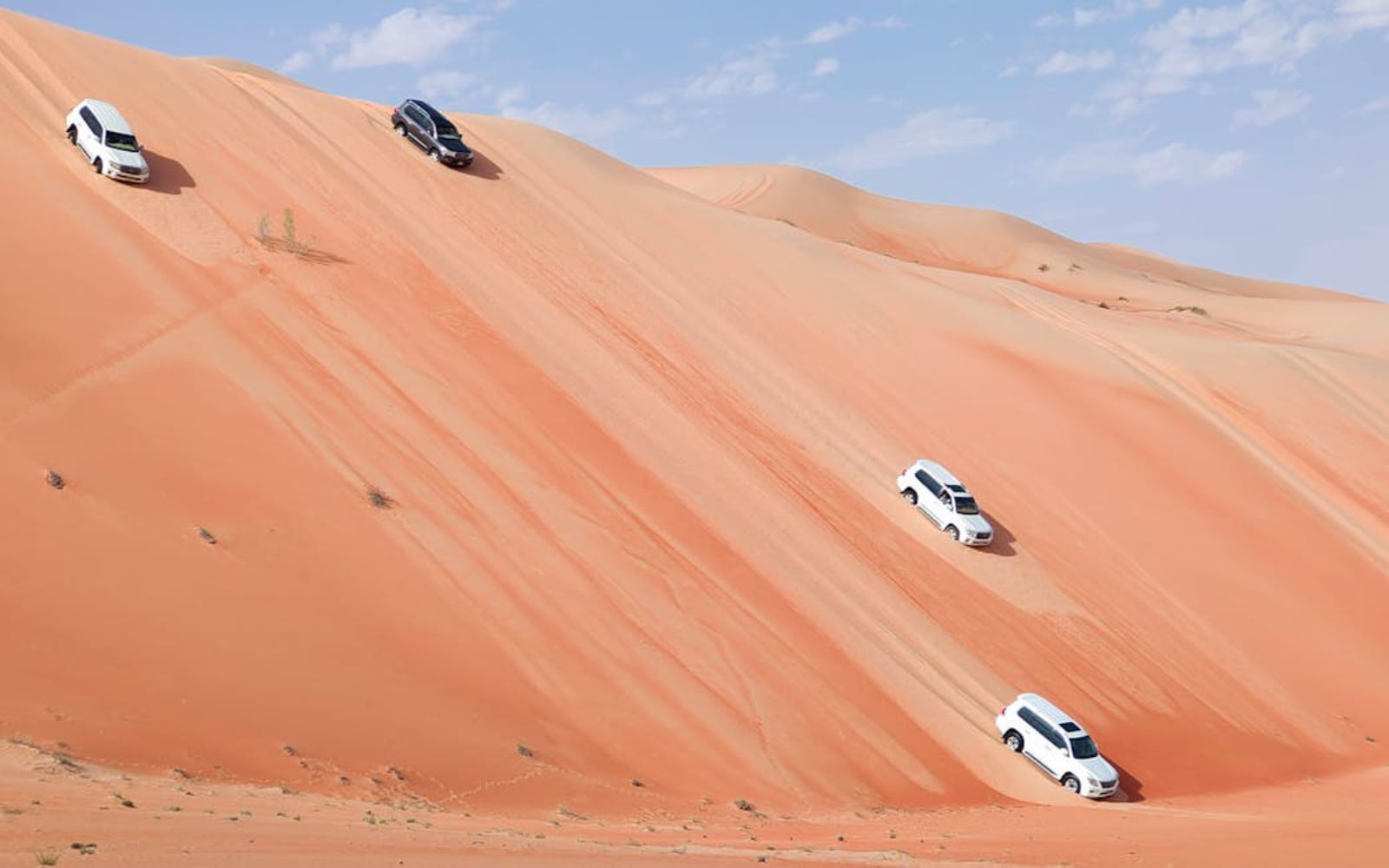 Abu Dhabi Desert Safari (Liwa/Empty Quarter)