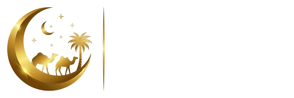 Dream Night Tourism