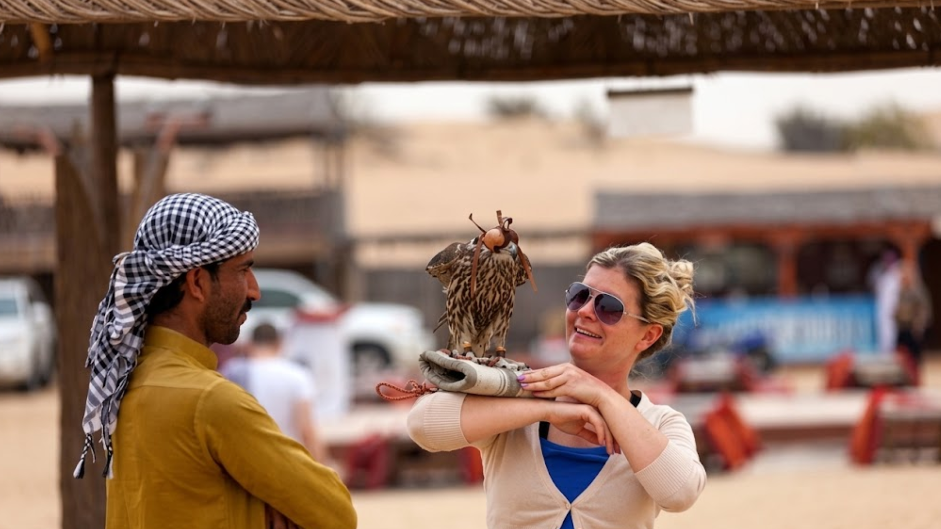 Falconry Experience Safari - Image 4