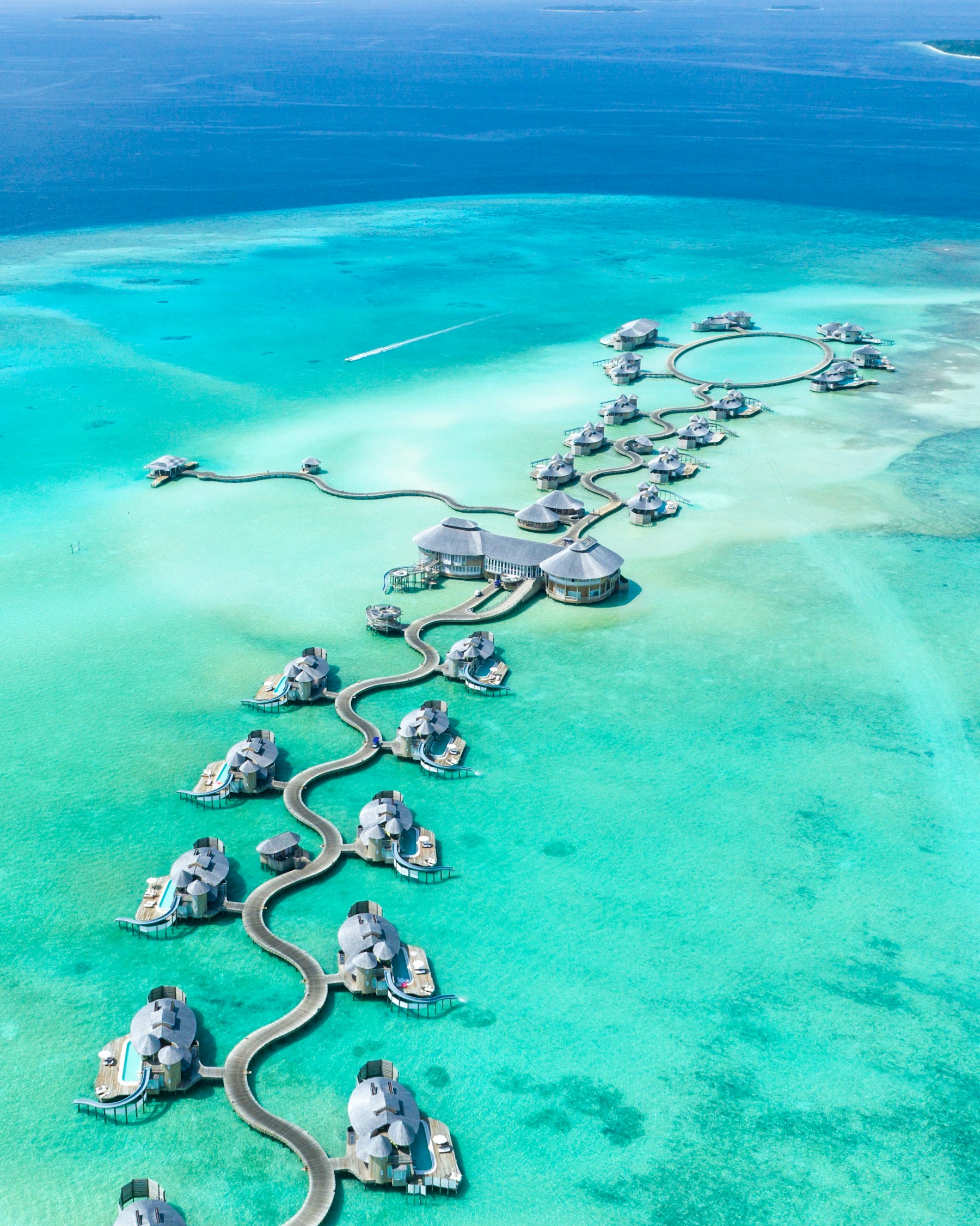 Baa Atoll Manta Ray & Whale Shark Snorkeling Adventure