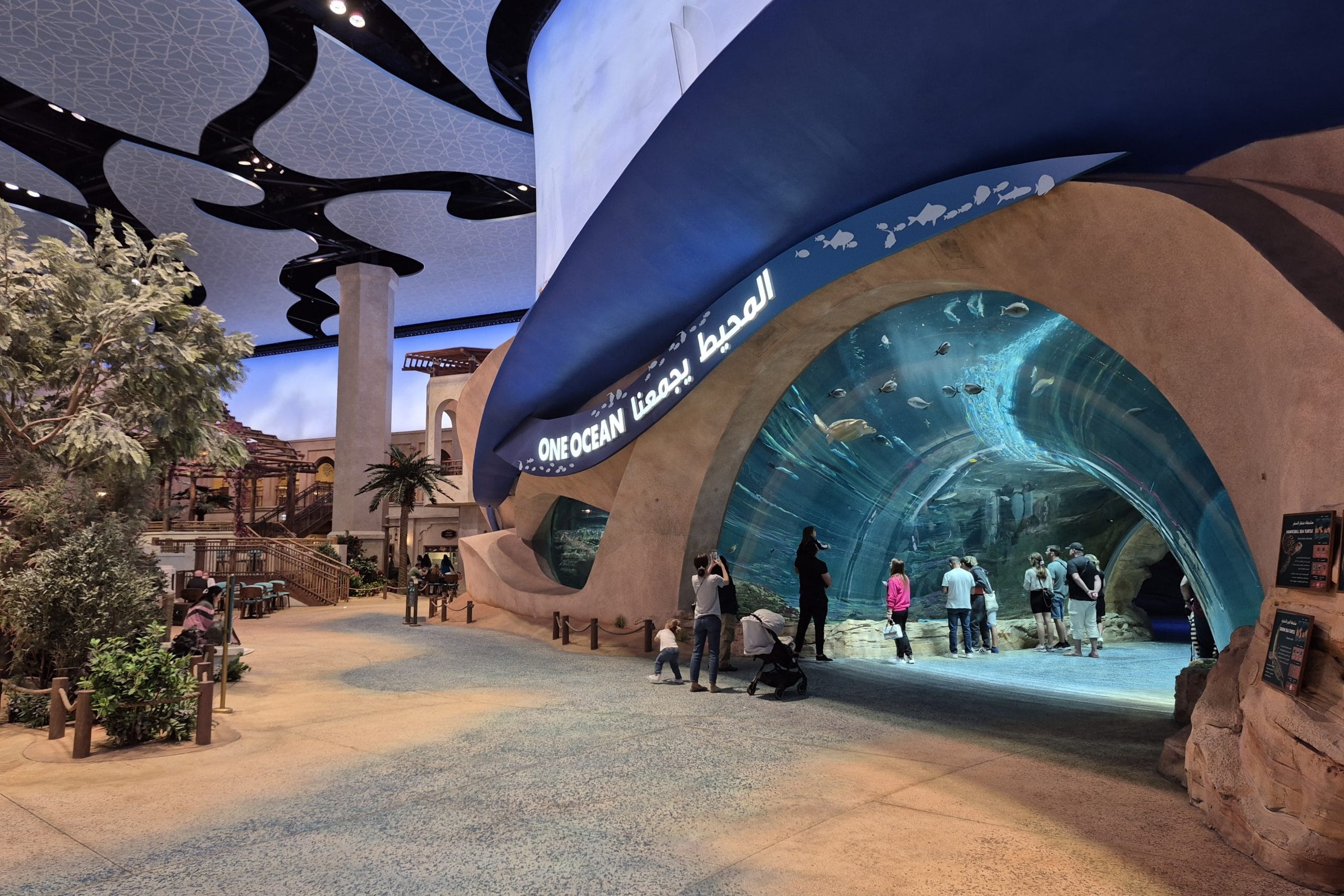 SeaWorld Abu Dhabi - Image 3